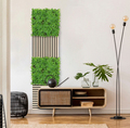 Jangal Modular Wall plantepanel 52 x 52 cm - Podocarpus Tea Tree